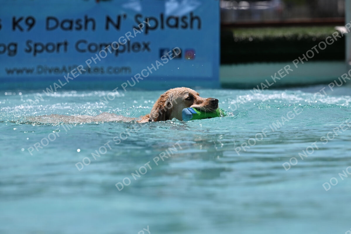 Dukes-5-17-25-01252_120737 PM