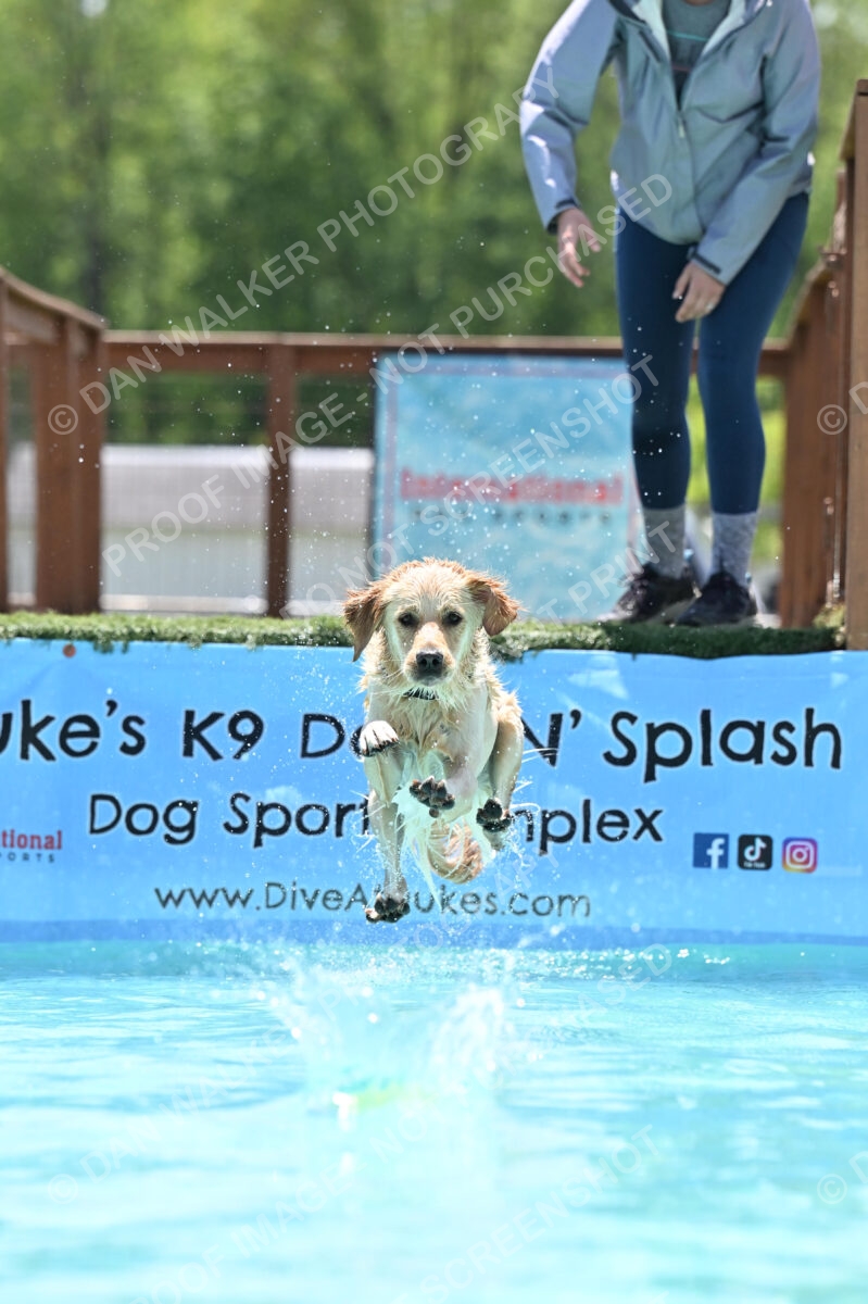 Dukes-5-17-25-01256_120754 PM