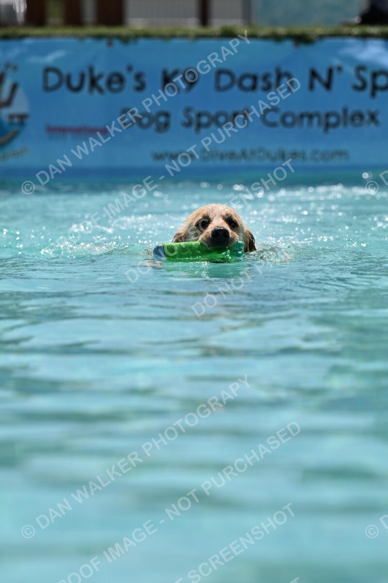 Dukes-5-17-25-01258_120758 PM