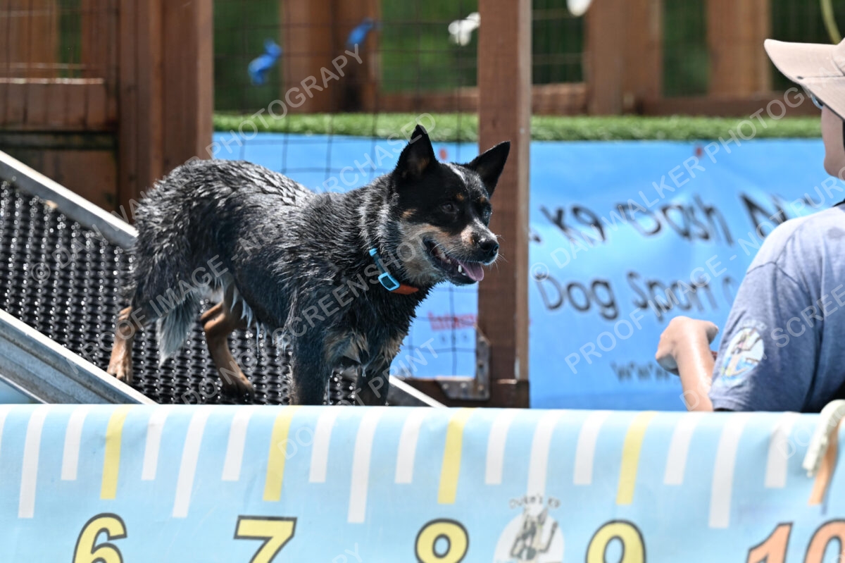 Dukes-5-17-25-01259_121907 PM