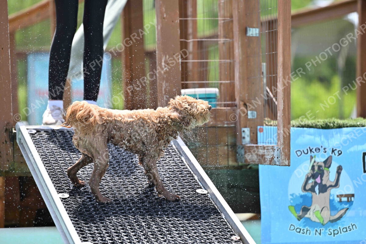 Dukes-5-17-25-01261_122637 PM