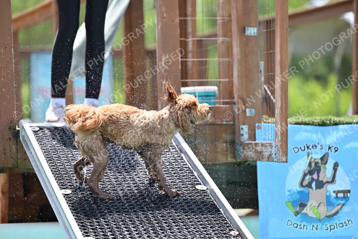 Dukes-5-17-25-01262_122637 PM