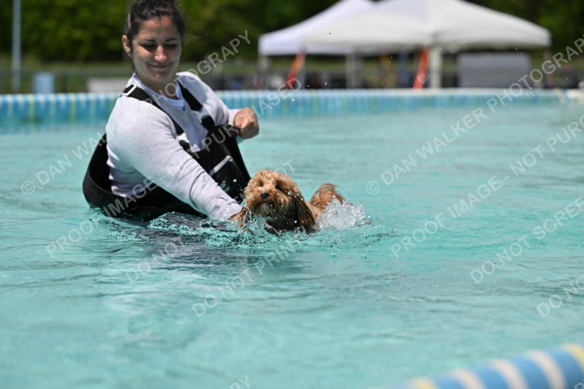 Dukes-5-17-25-01264_122710 PM