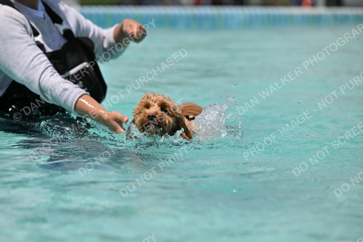 Dukes-5-17-25-01265_122711 PM