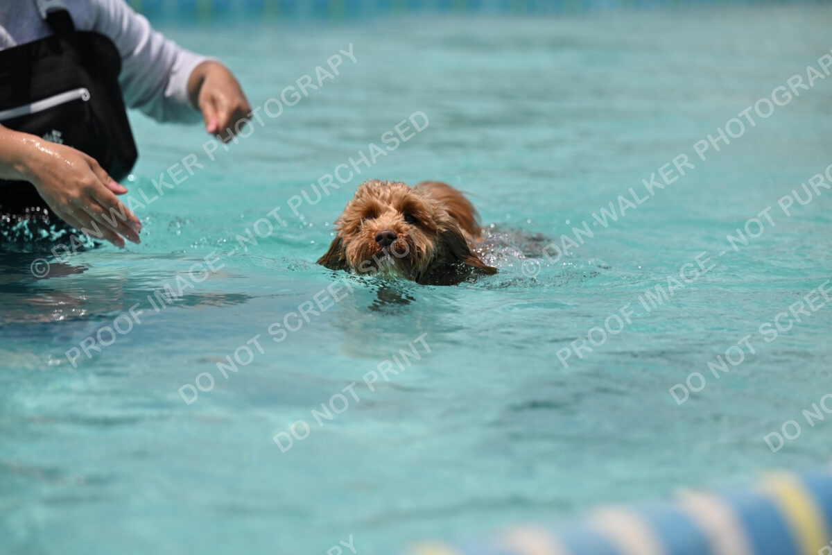 Dukes-5-17-25-01268_122712 PM