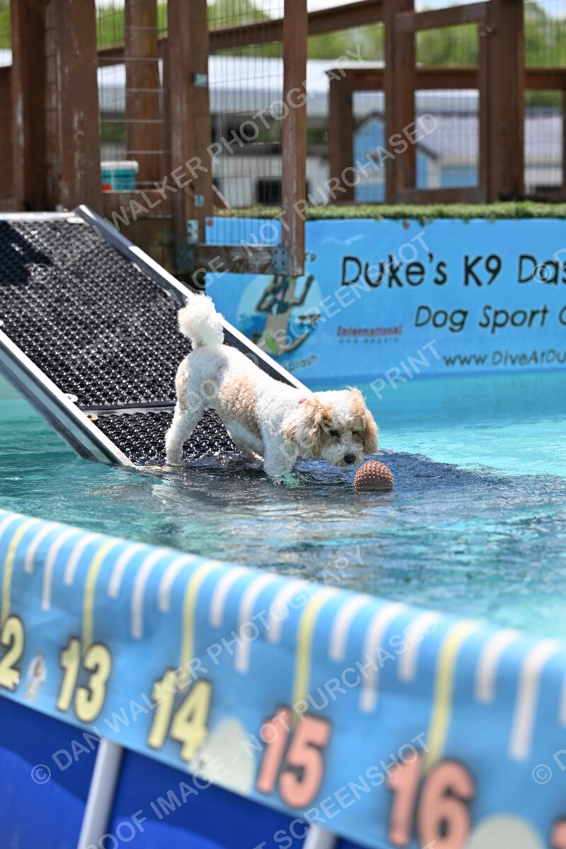 Dukes-5-17-25-01271_122858 PM