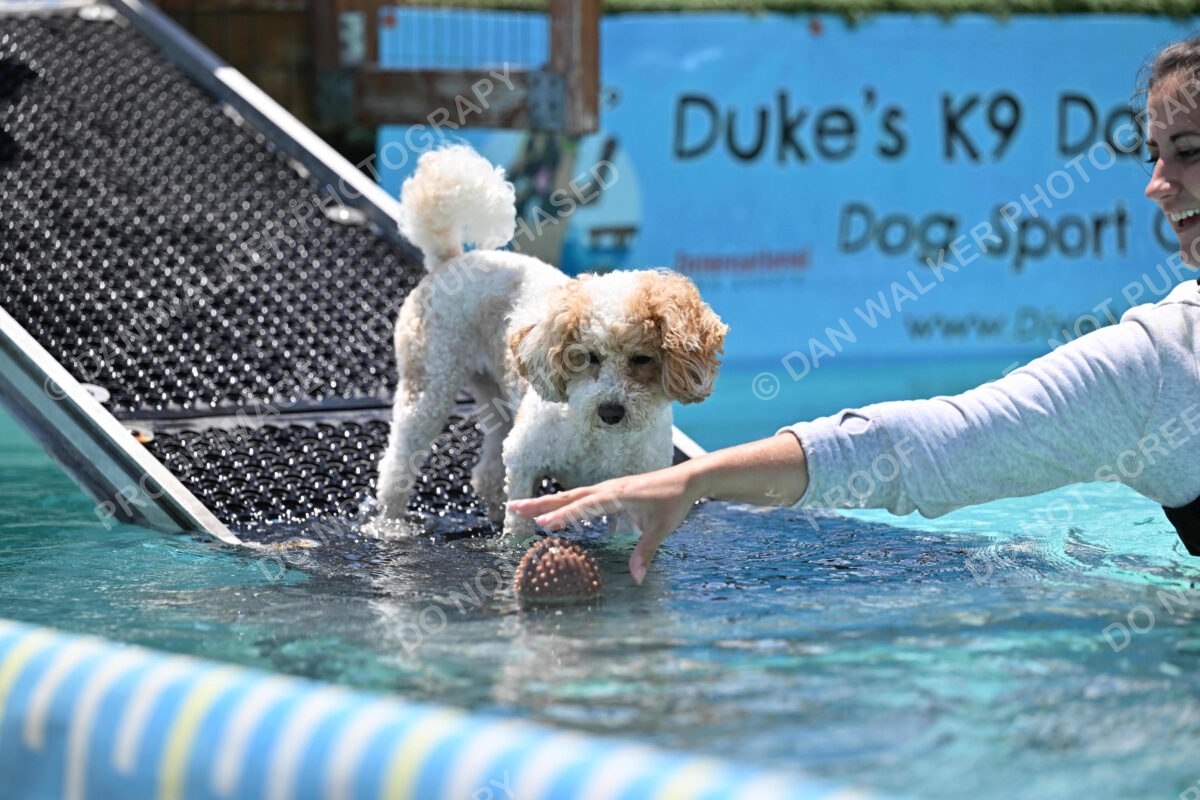 Dukes-5-17-25-01272_122902 PM