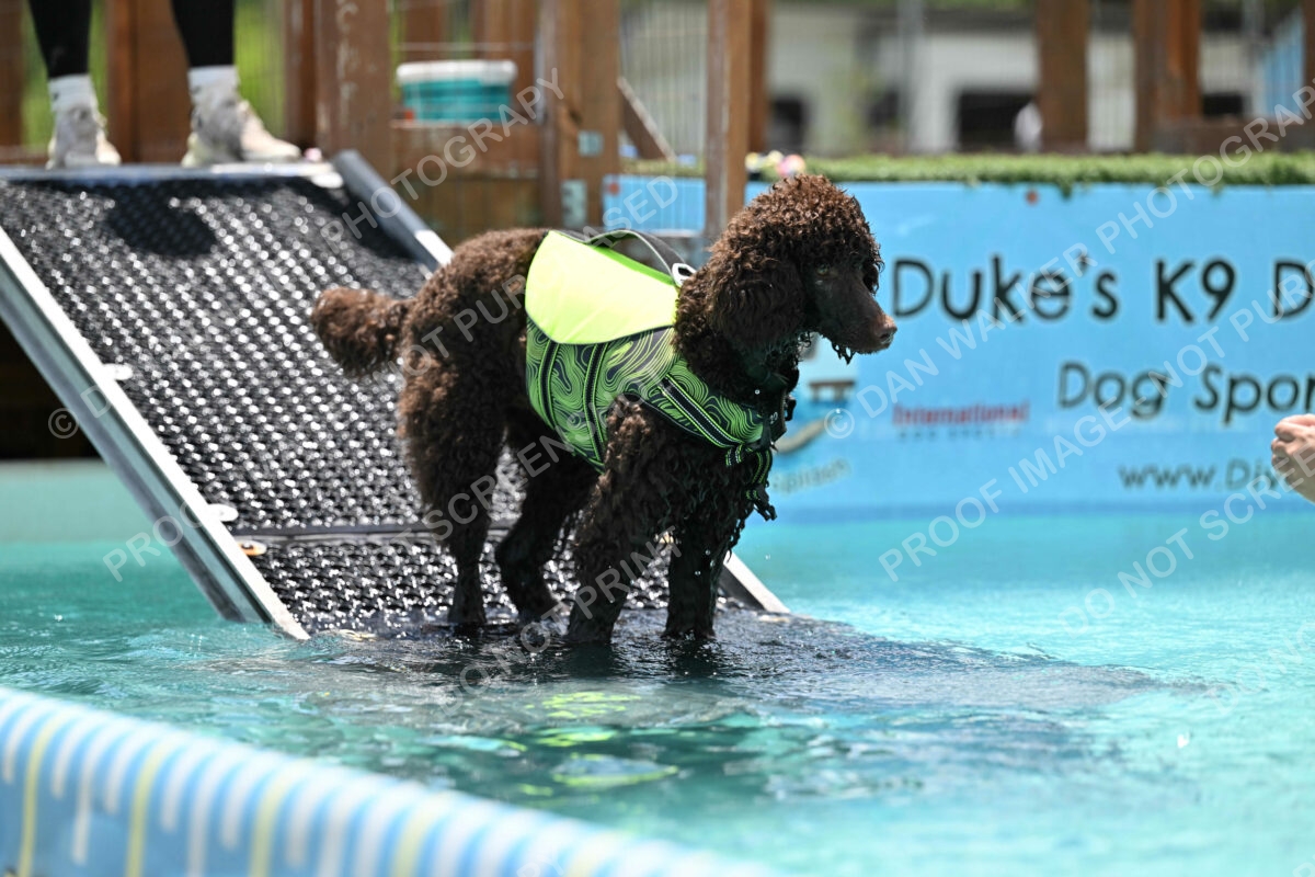 Dukes-5-17-25-01294_123724 PM