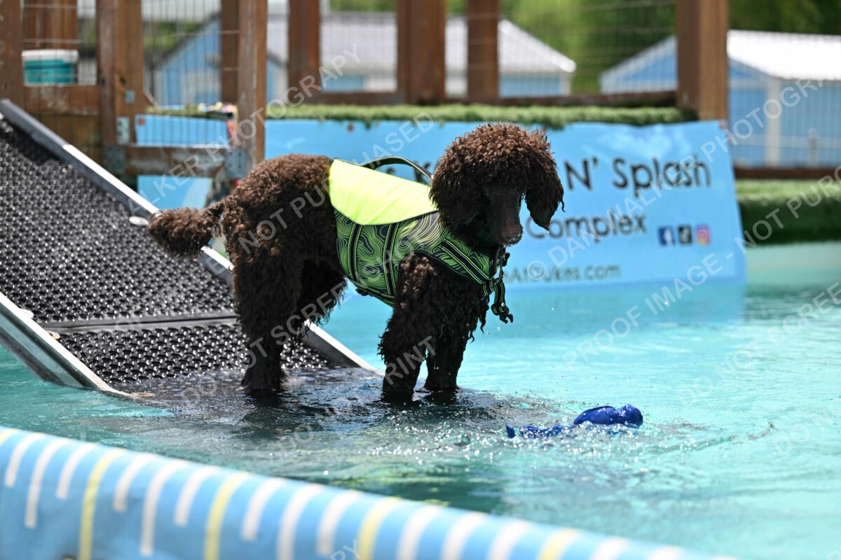 Dukes-5-17-25-01296_123747 PM