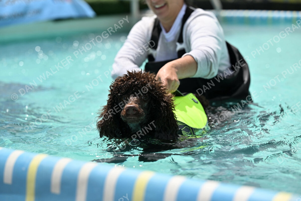 Dukes-5-17-25-01299_123815 PM