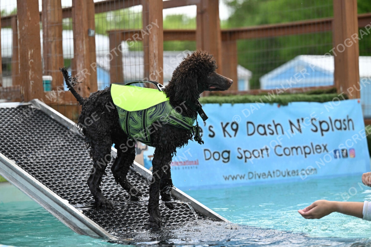 Dukes-5-17-25-01300_123911 PM