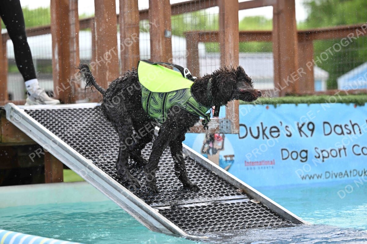 Dukes-5-17-25-01301_123912 PM