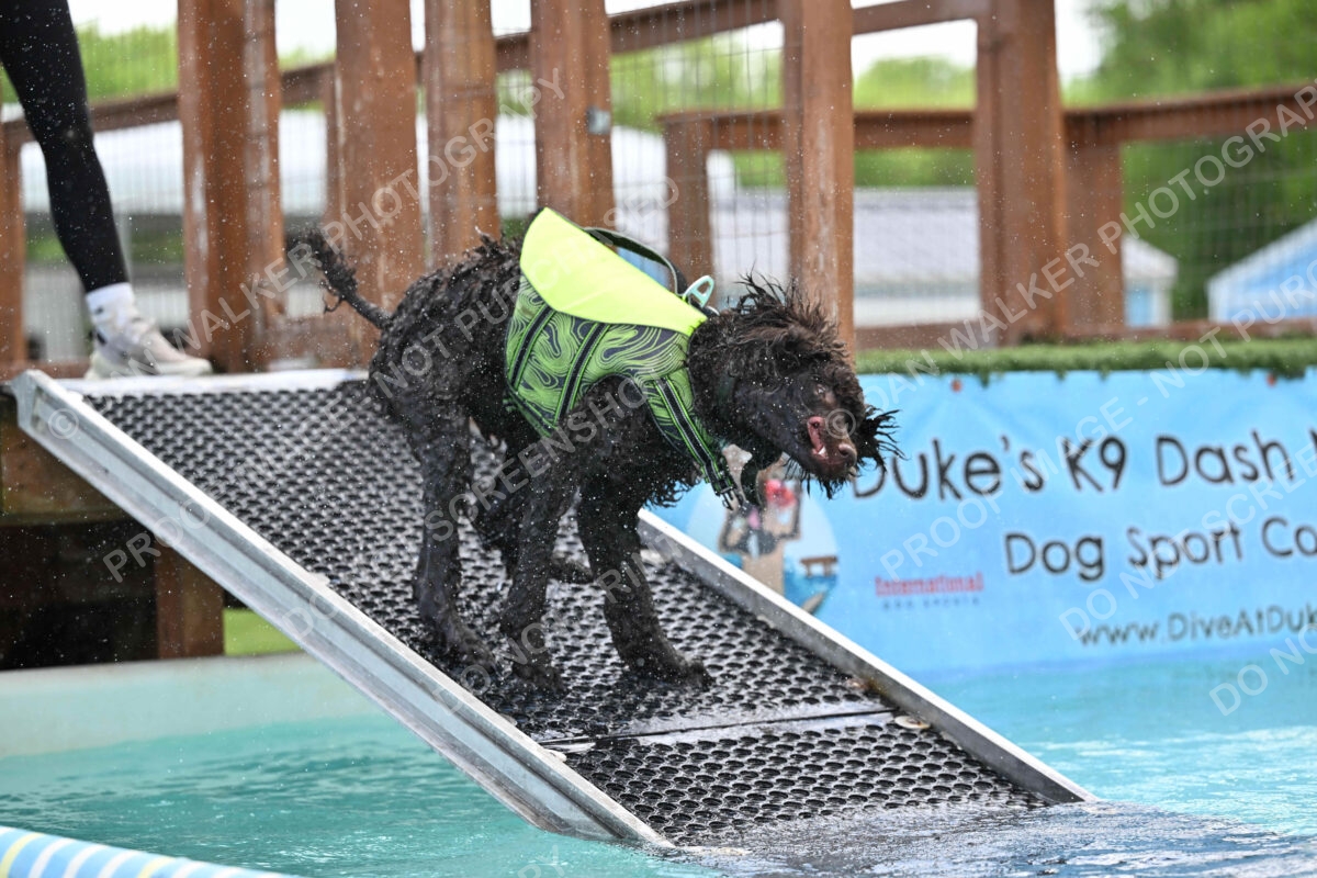 Dukes-5-17-25-01302_123913 PM