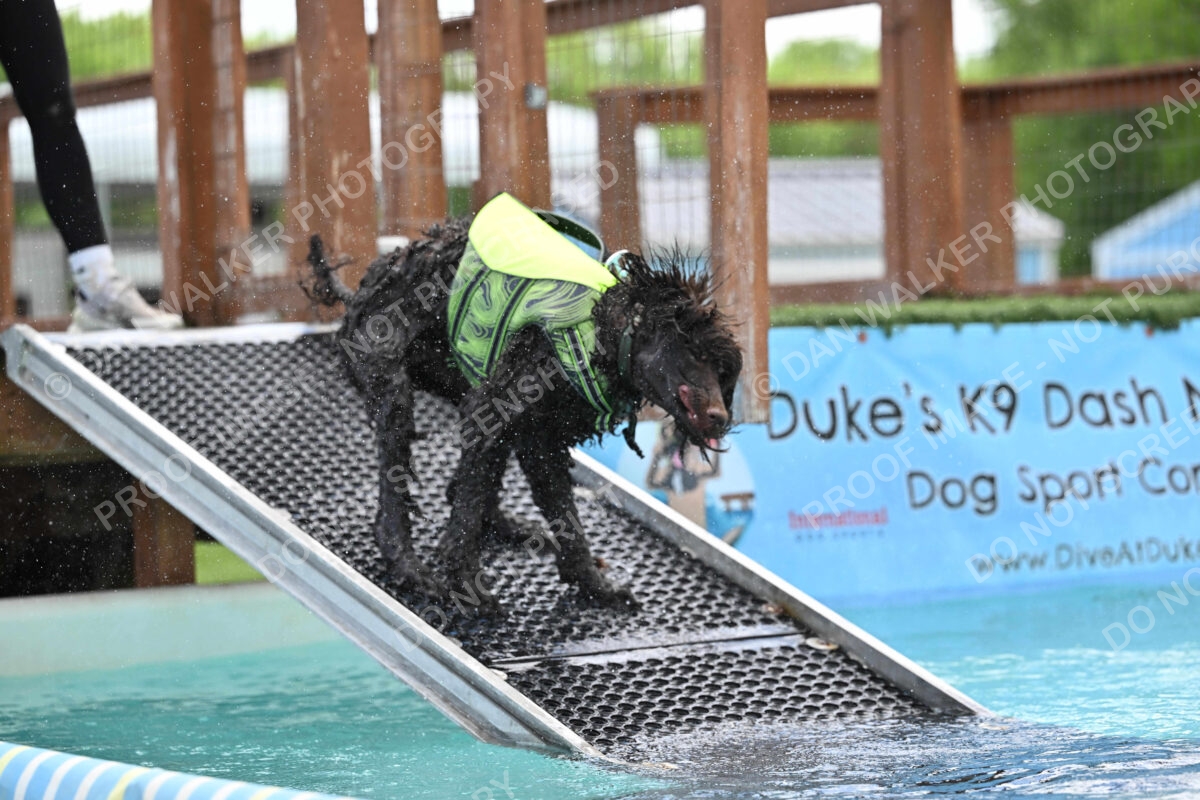 Dukes-5-17-25-01303_123913 PM