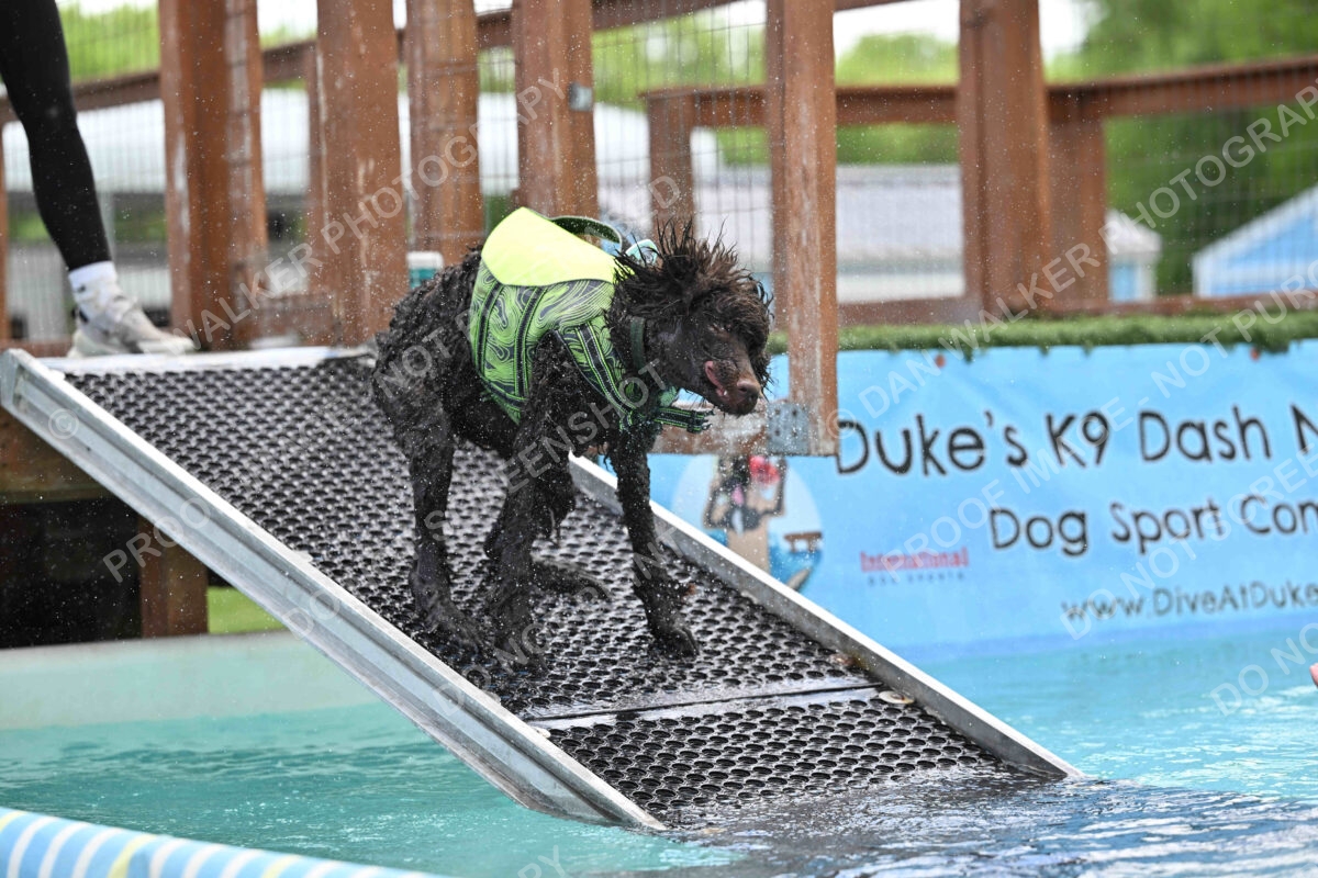 Dukes-5-17-25-01304_123913 PM