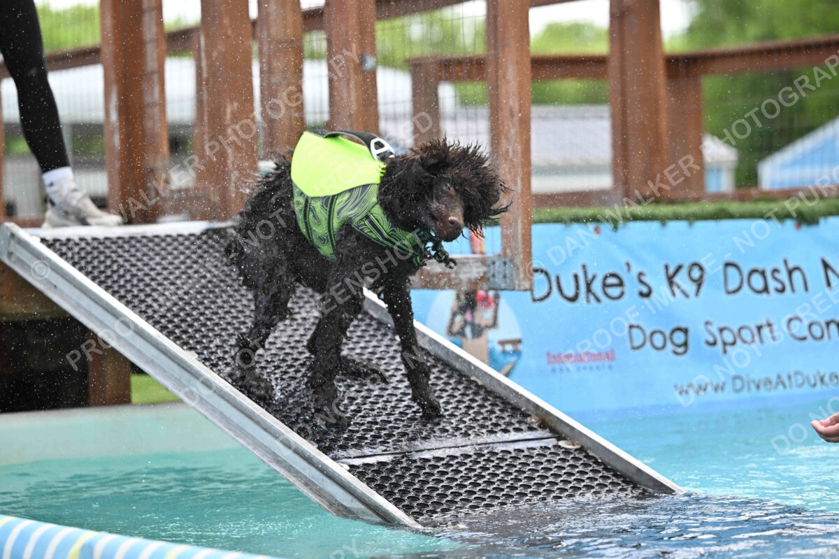 Dukes-5-17-25-01305_123913 PM