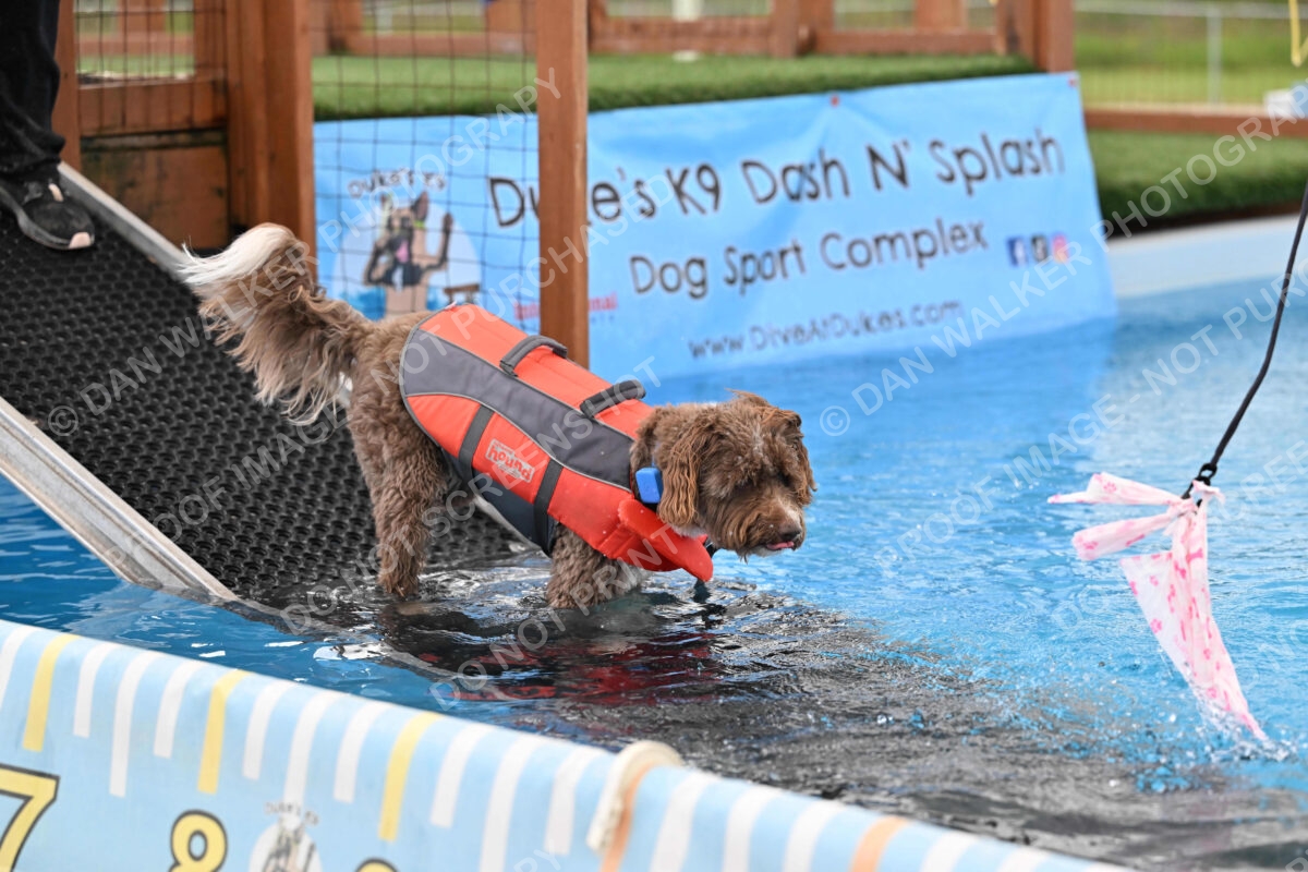 Dukes-5-17-25-01306_124442 PM