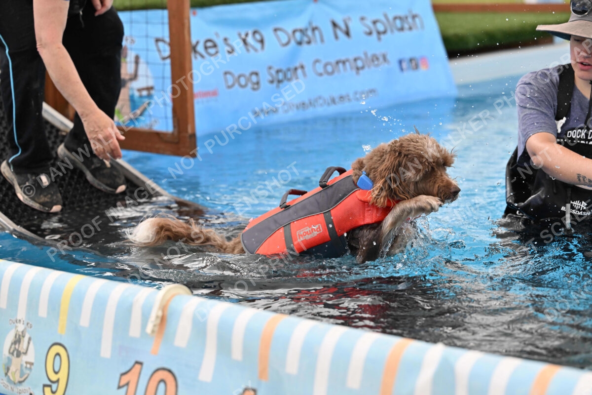 Dukes-5-17-25-01307_124454 PM