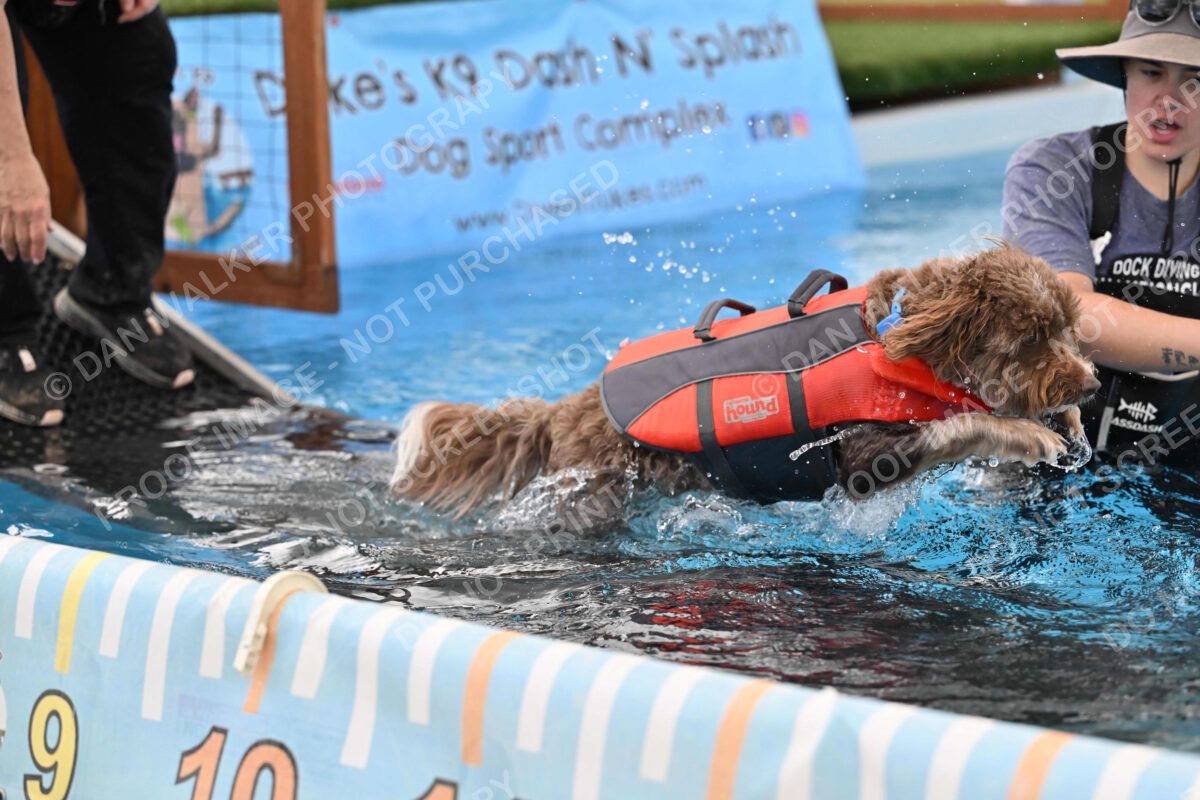 Dukes-5-17-25-01309_124454 PM