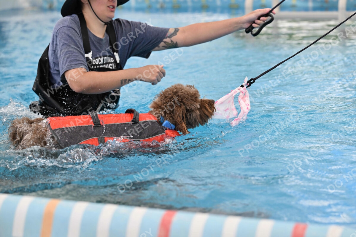 Dukes-5-17-25-01310_124455 PM