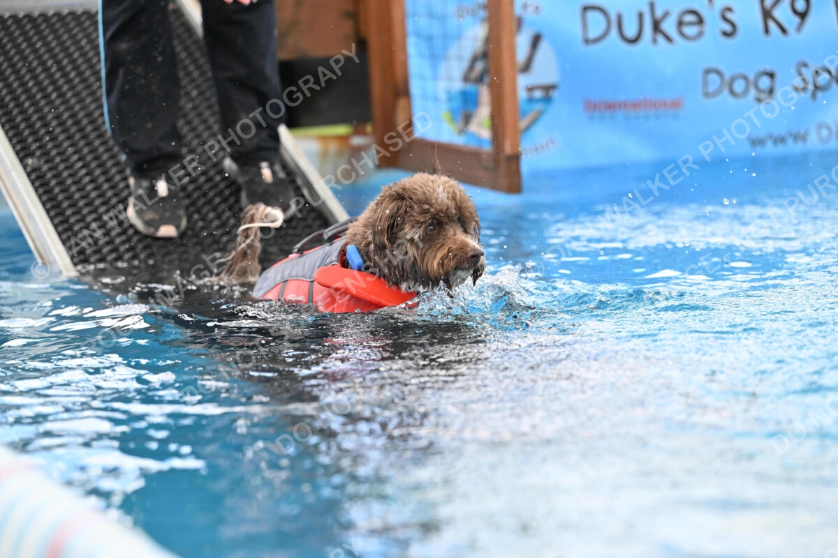 Dukes-5-17-25-01312_124513 PM