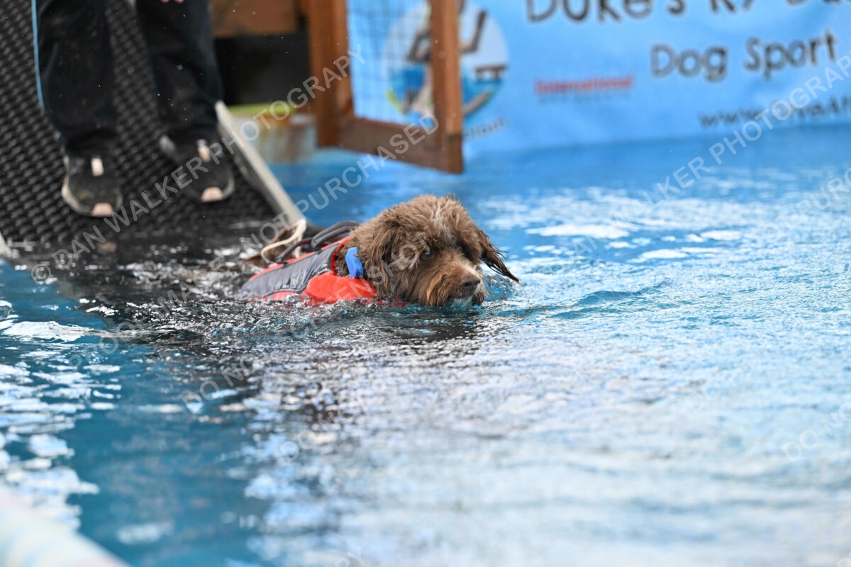 Dukes-5-17-25-01313_124514 PM