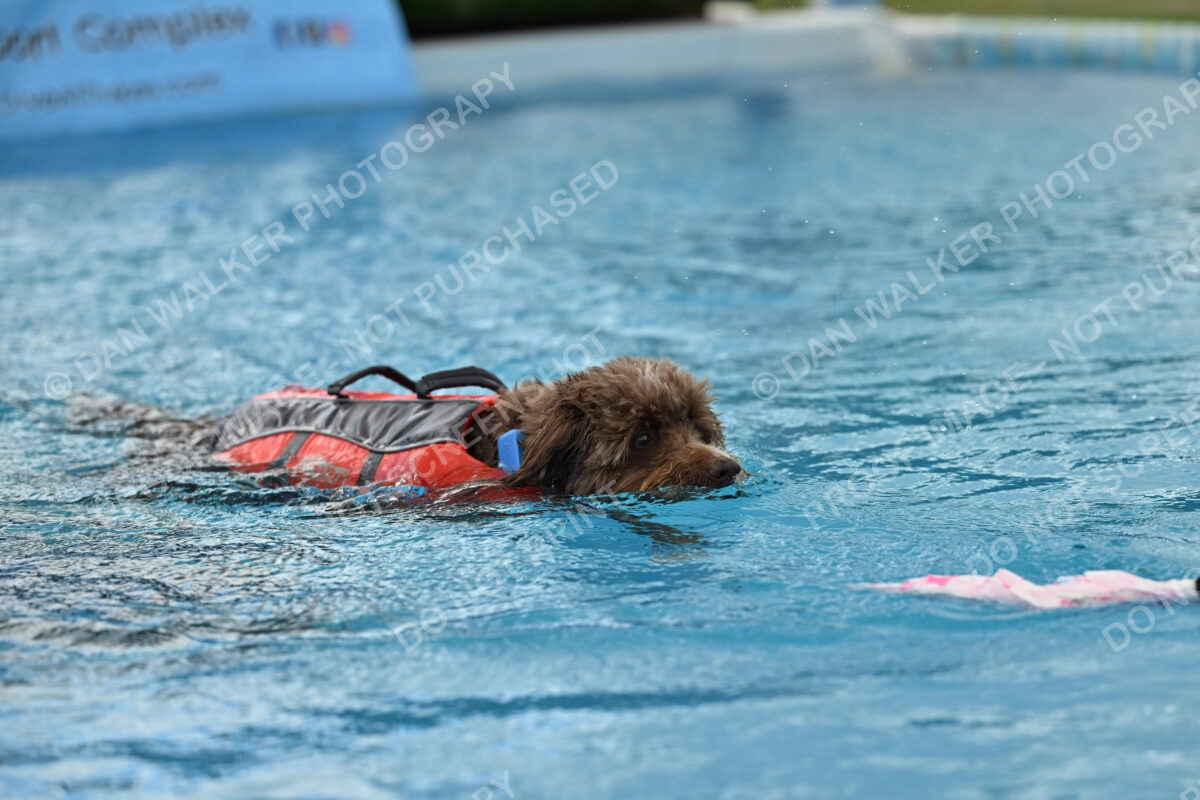 Dukes-5-17-25-01317_124517 PM