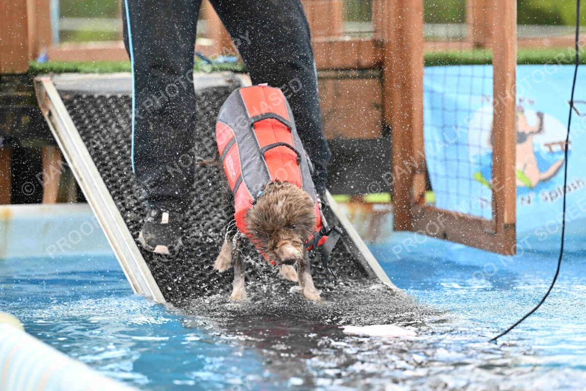 Dukes-5-17-25-01318_124543 PM