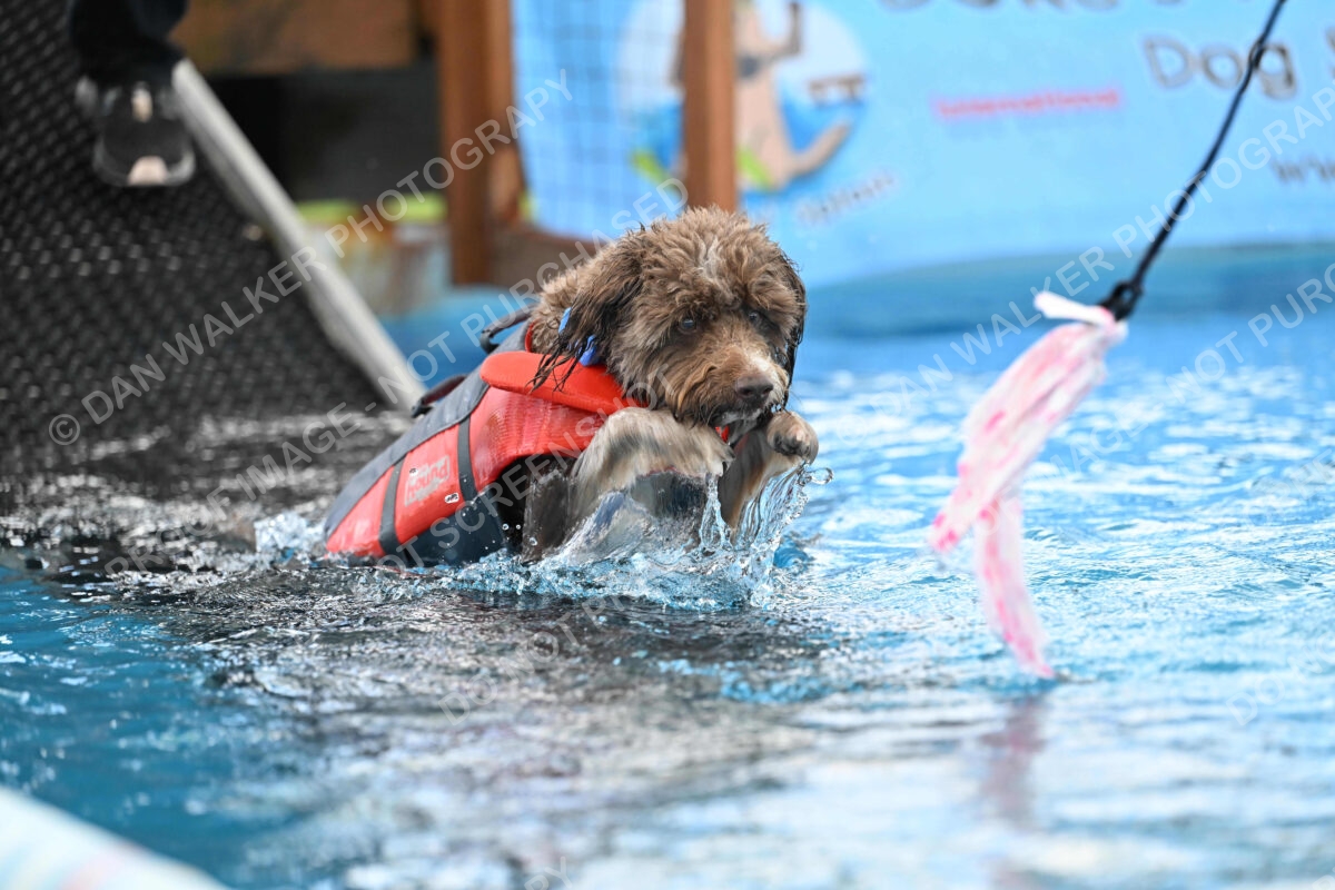 Dukes-5-17-25-01319_124548 PM