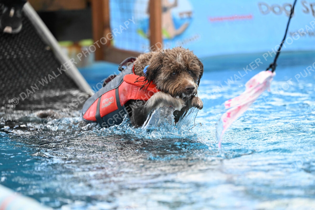 Dukes-5-17-25-01320_124548 PM