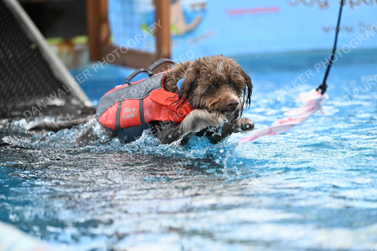 Dukes-5-17-25-01321_124548 PM