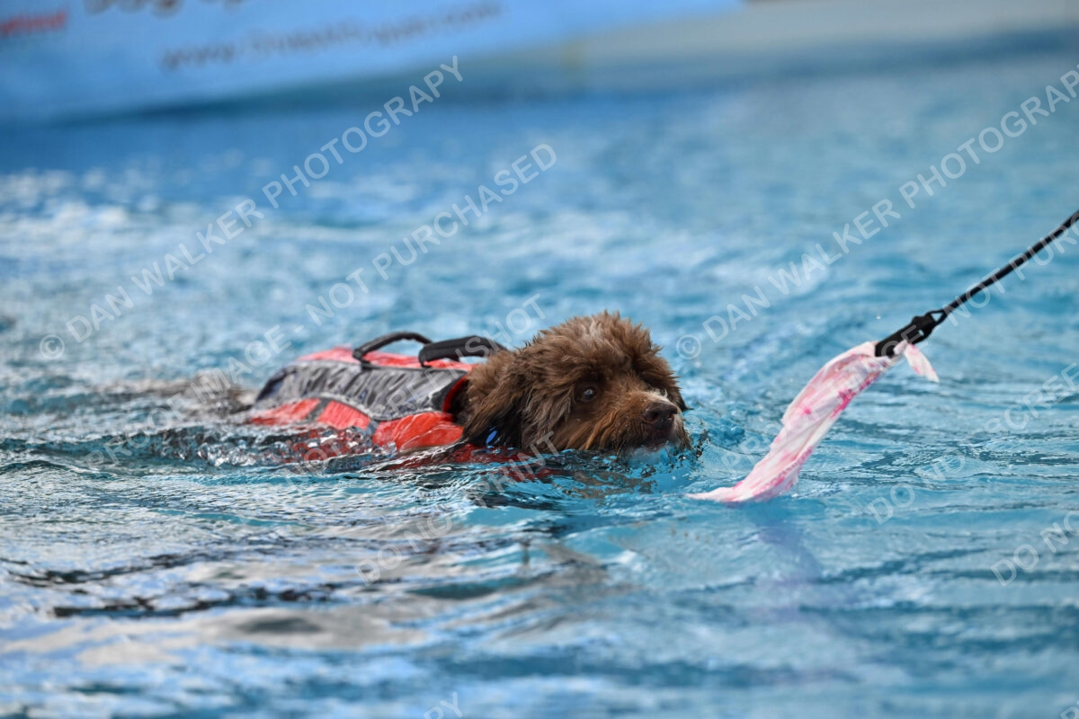 Dukes-5-17-25-01322_124550 PM