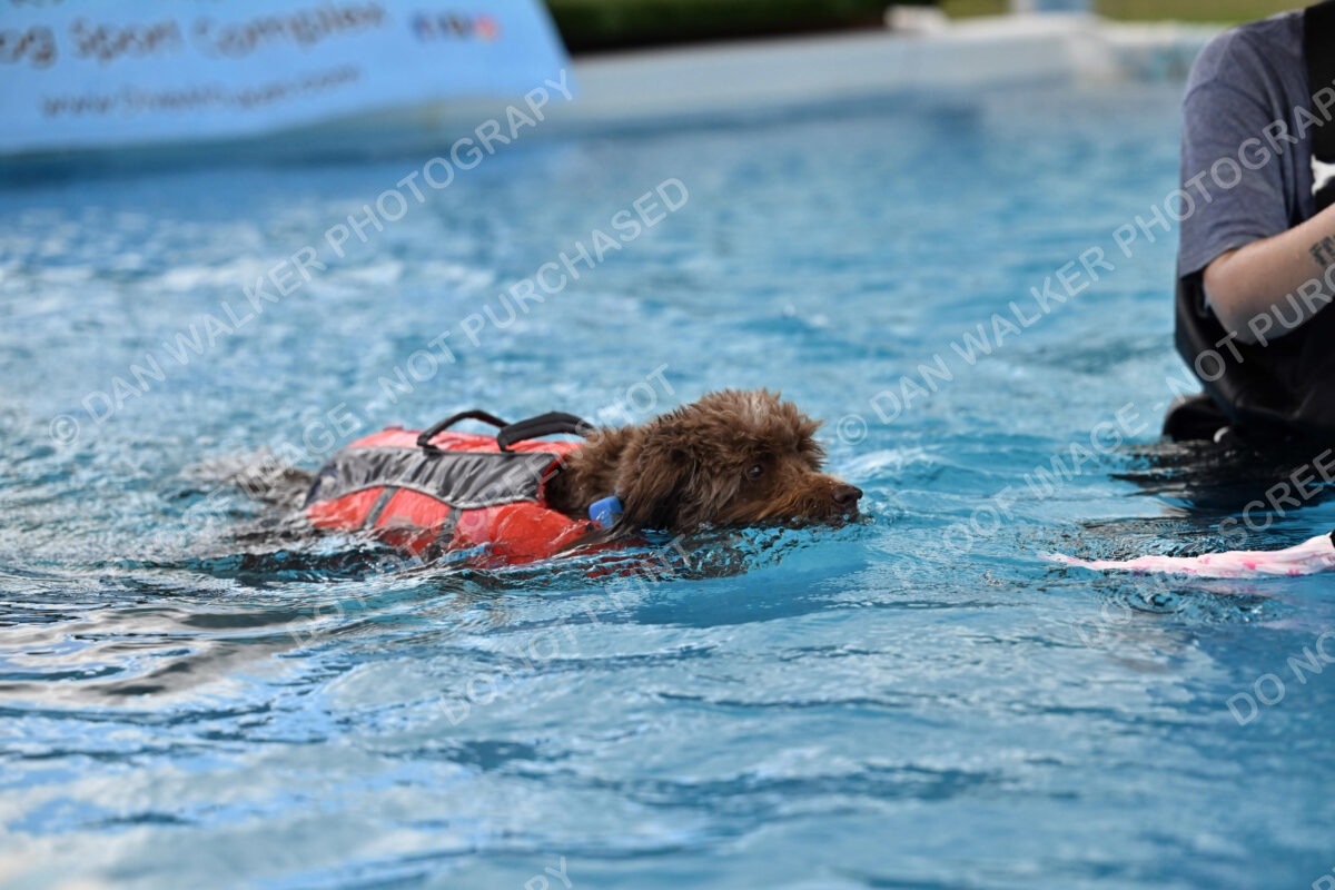 Dukes-5-17-25-01323_124550 PM