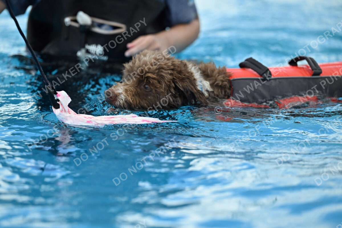 Dukes-5-17-25-01324_124602 PM