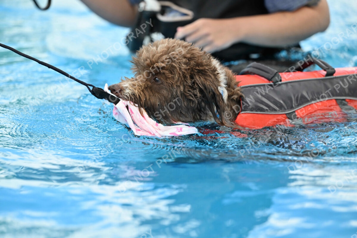 Dukes-5-17-25-01326_124603 PM