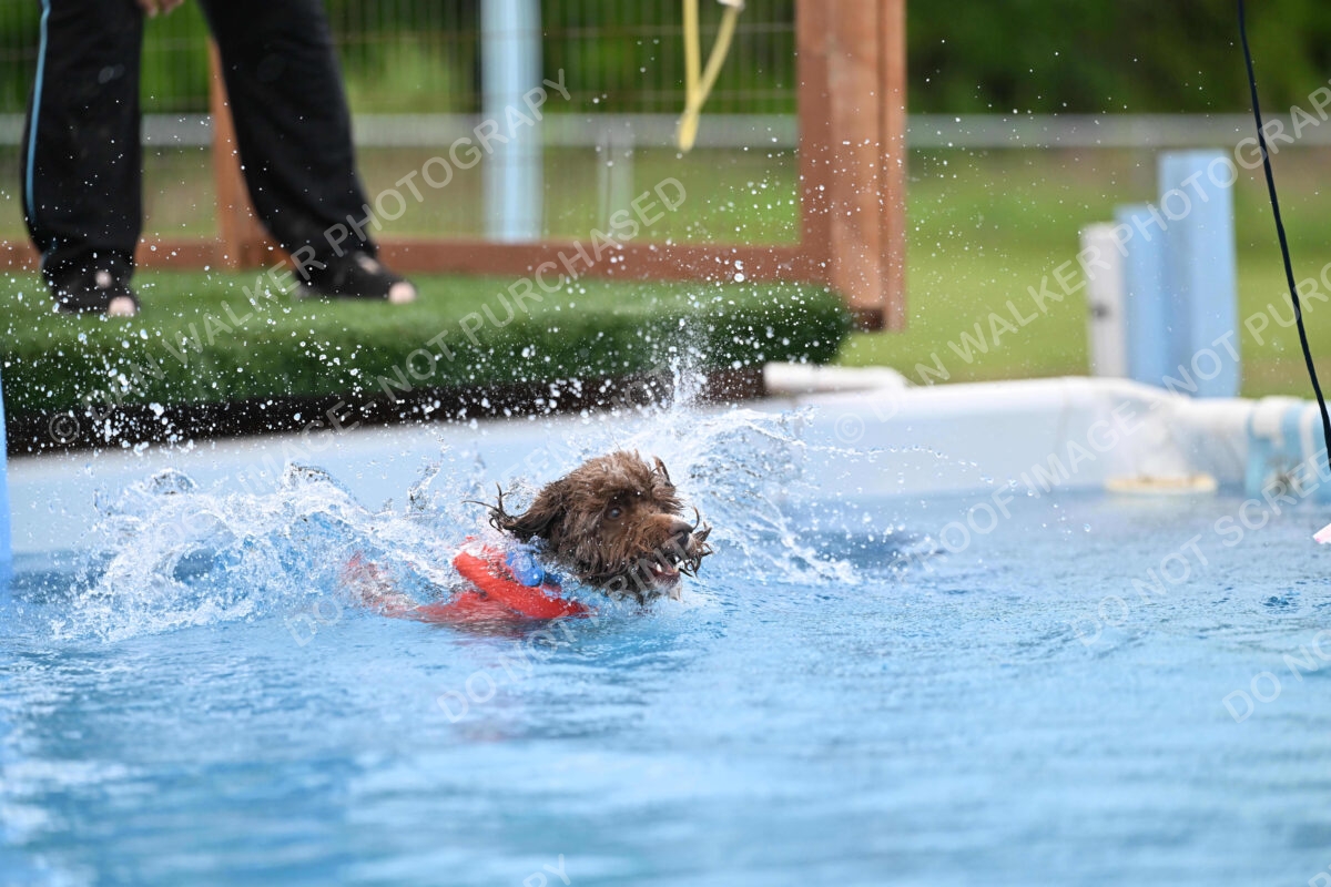 Dukes-5-17-25-01329_124737 PM