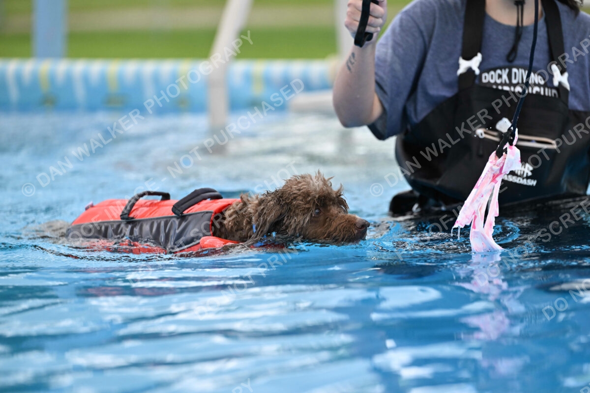 Dukes-5-17-25-01330_124741 PM