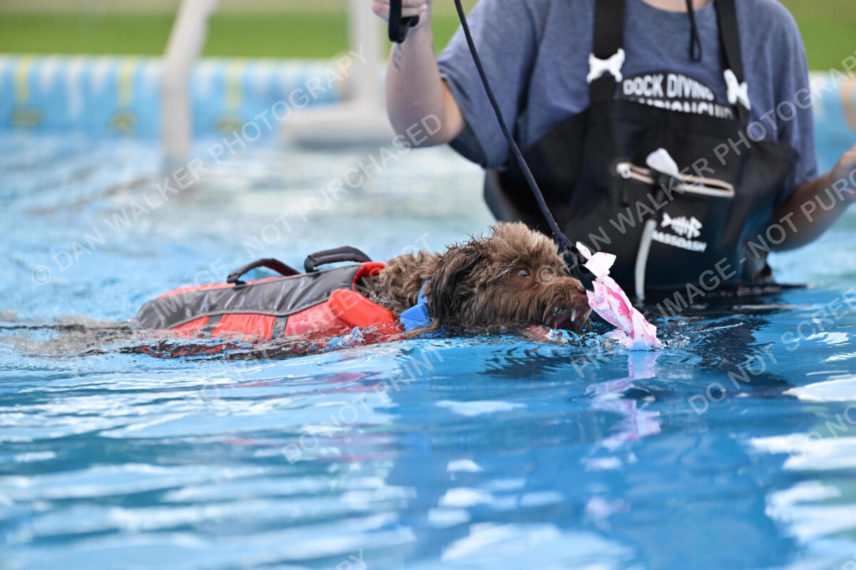 Dukes-5-17-25-01331_124742 PM