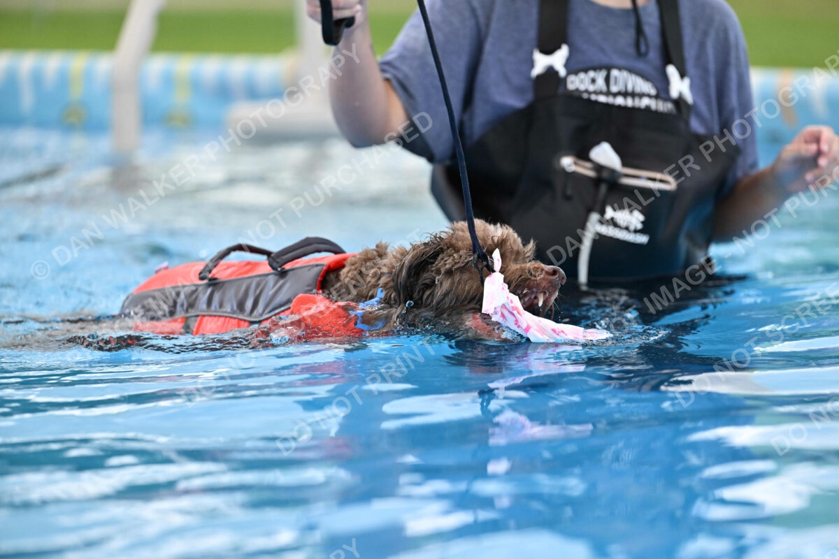 Dukes-5-17-25-01332_124742 PM