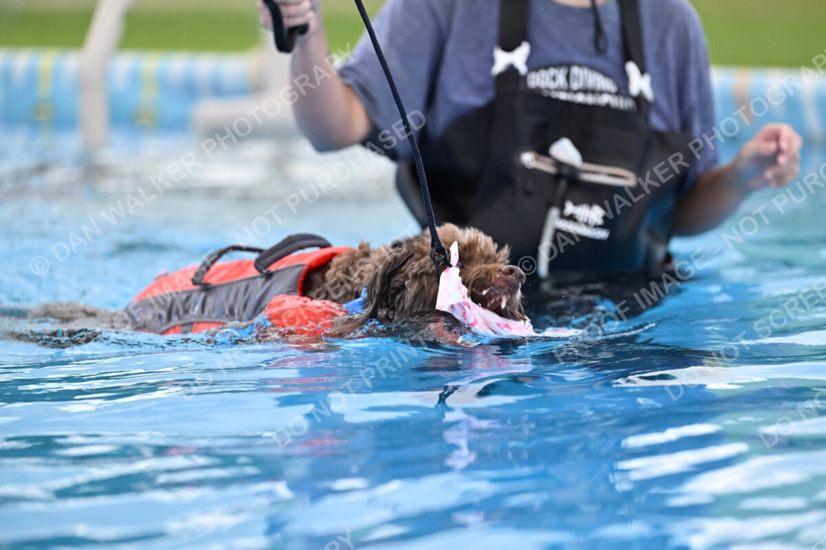 Dukes-5-17-25-01333_124742 PM