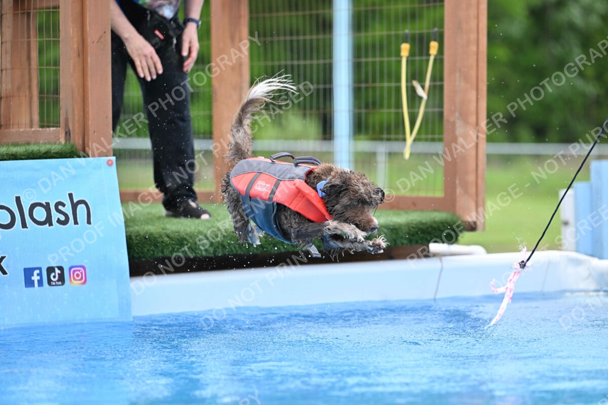 Dukes-5-17-25-01335_124818 PM