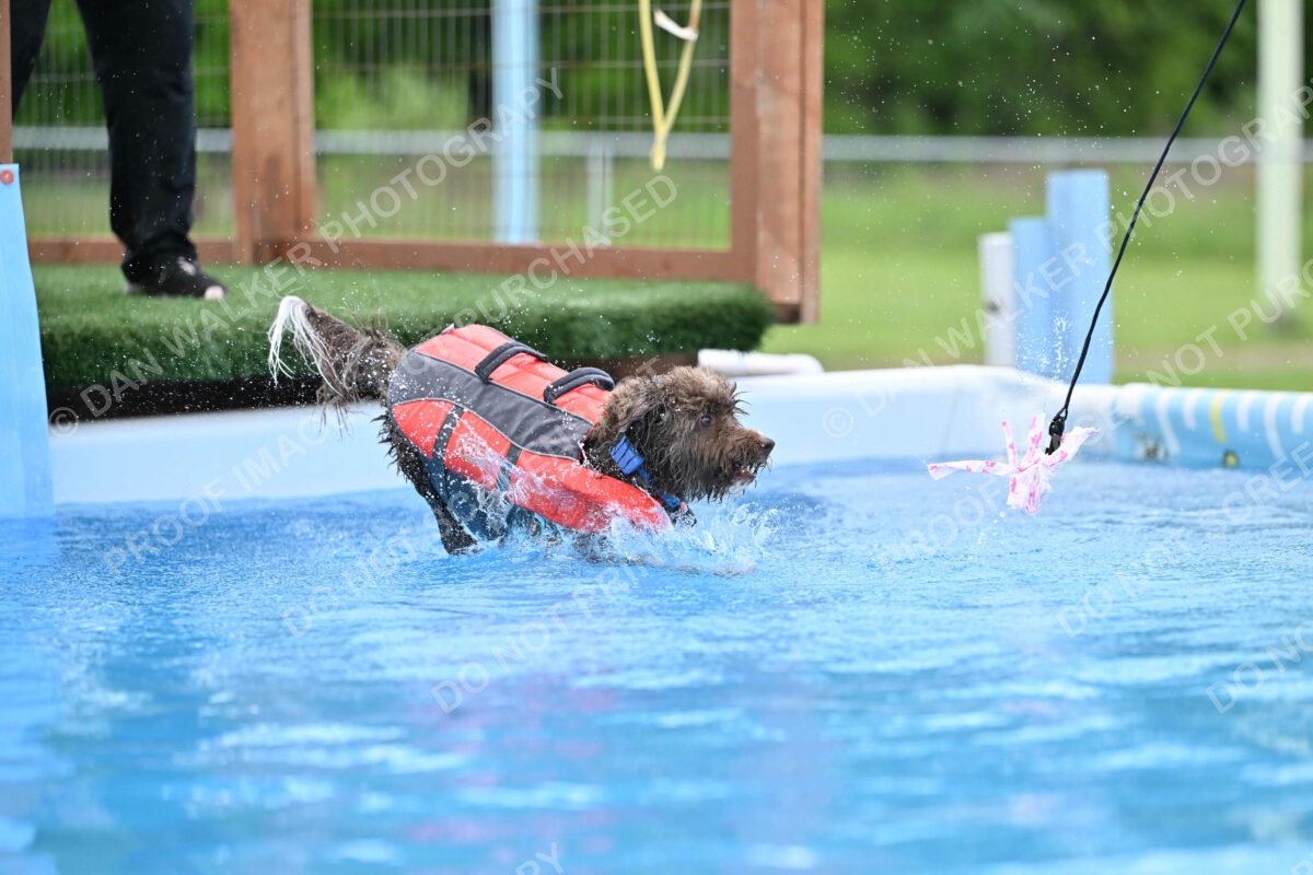 Dukes-5-17-25-01337_124818 PM