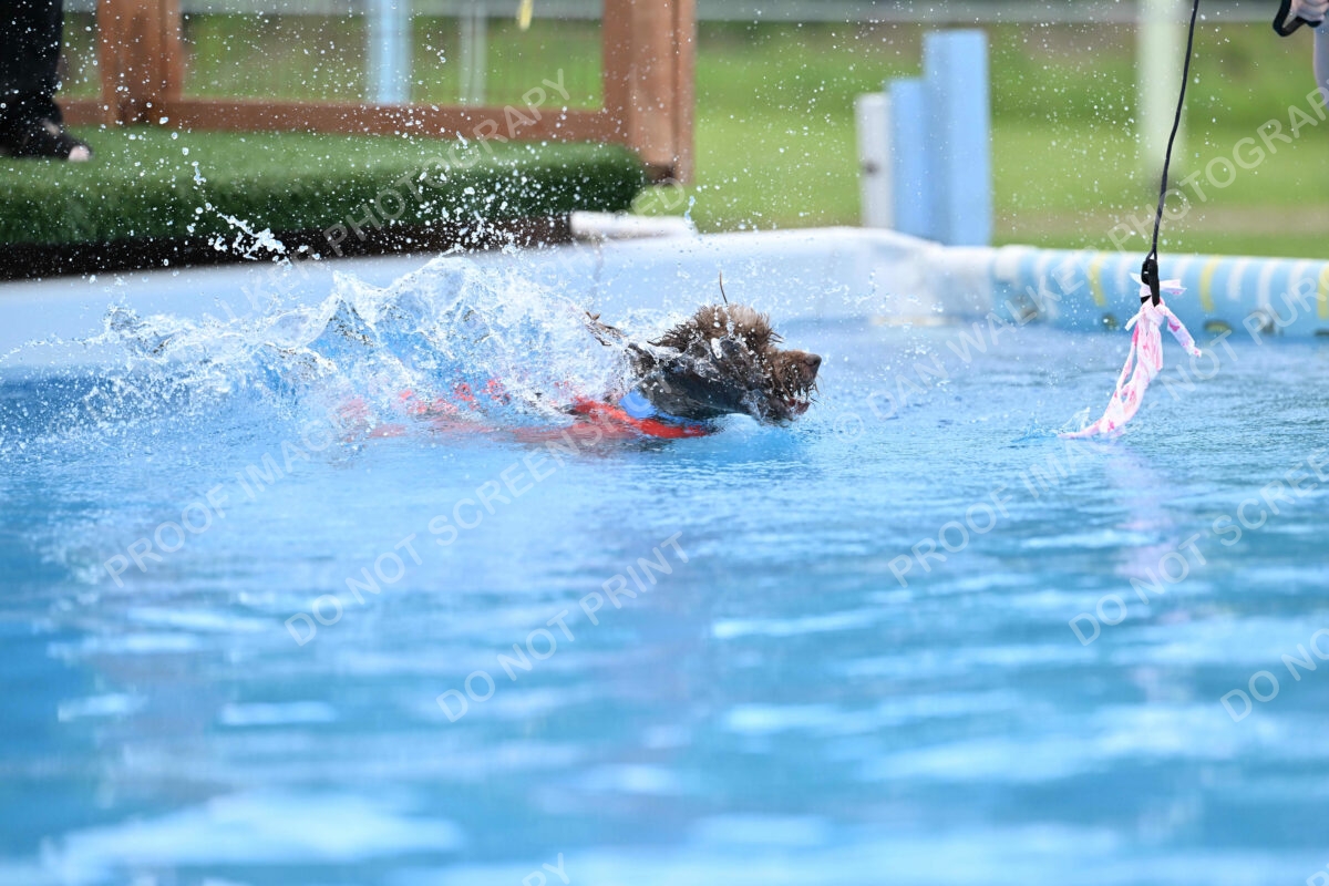 Dukes-5-17-25-01339_124819 PM