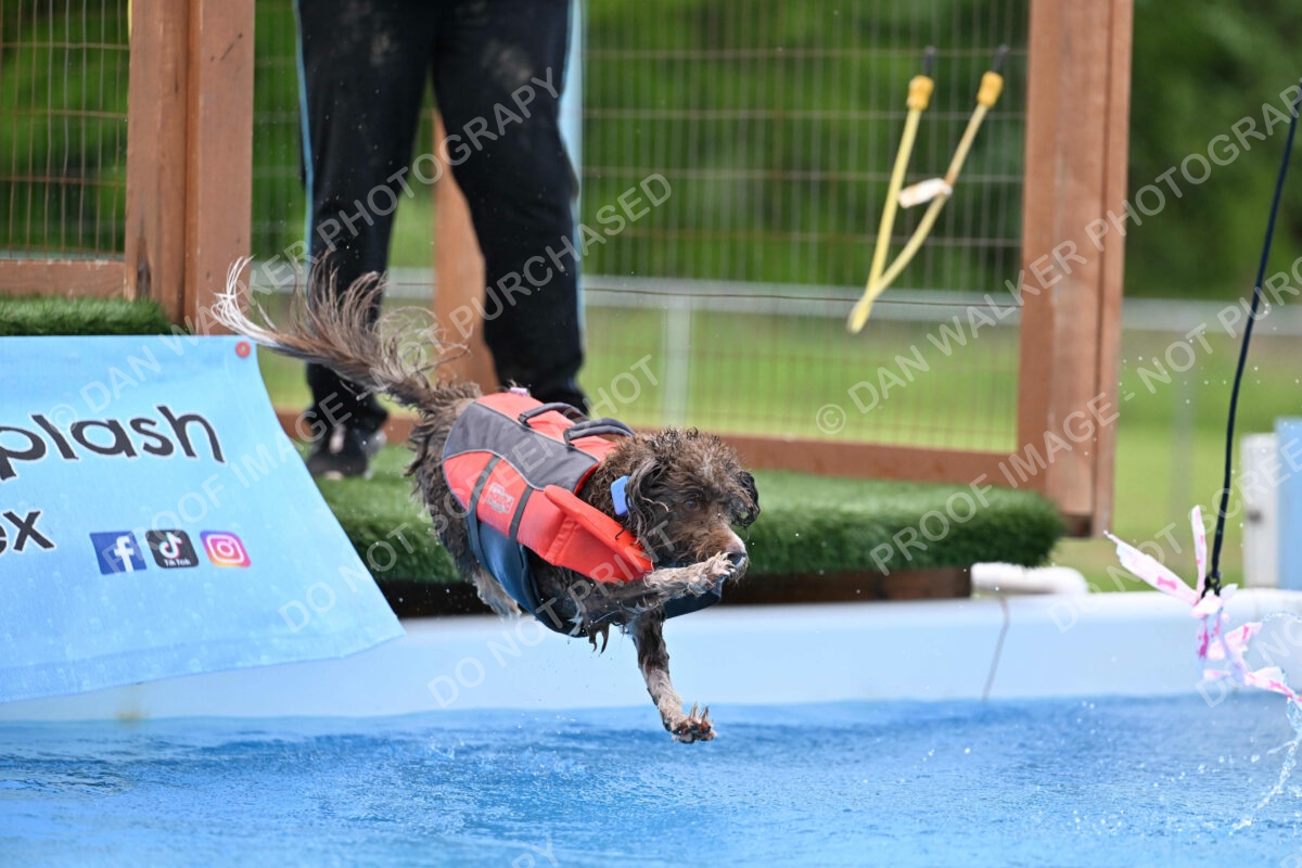 Dukes-5-17-25-01340_124920 PM