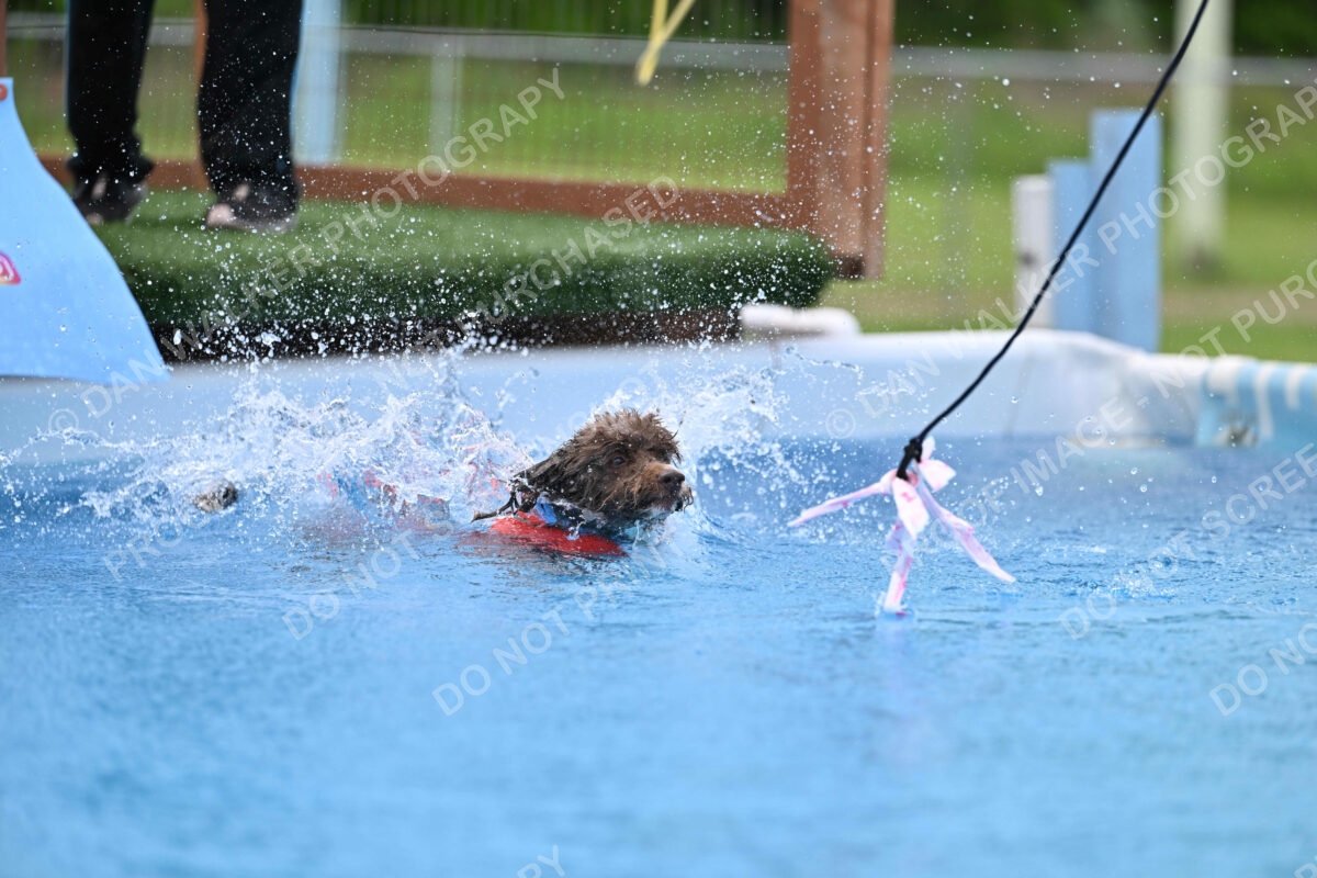 Dukes-5-17-25-01343_124920 PM