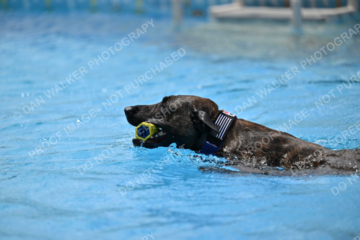 Dukes-5-17-25-01346_10059 PM