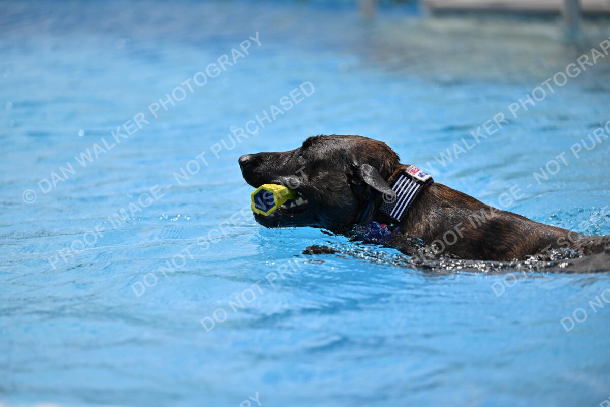 Dukes-5-17-25-01347_10059 PM