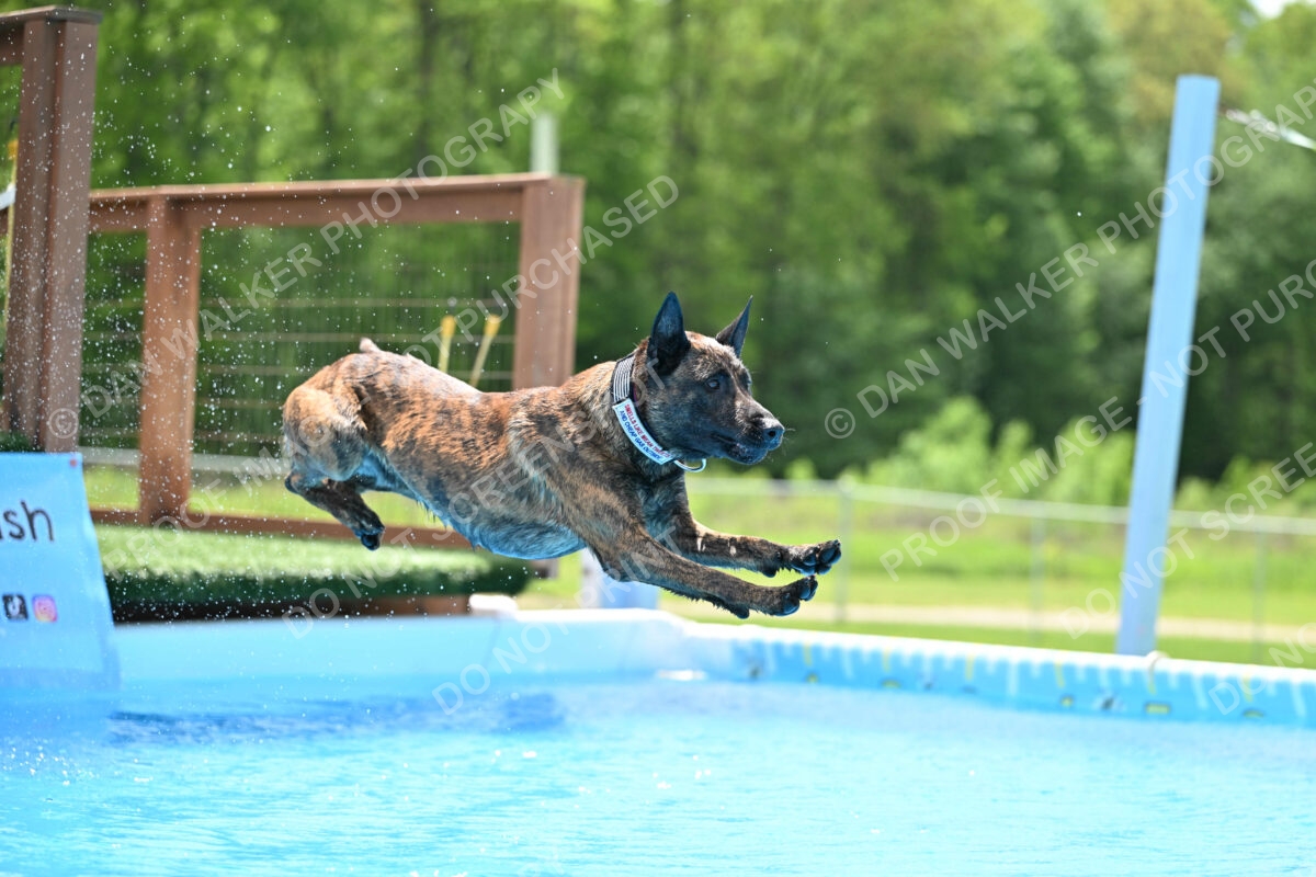 Dukes-5-17-25-01355_10150 PM