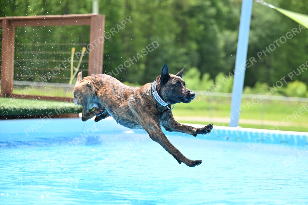 Dukes-5-17-25-01356_10150 PM