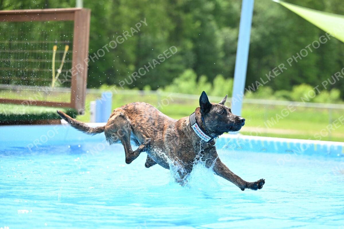 Dukes-5-17-25-01357_10150 PM